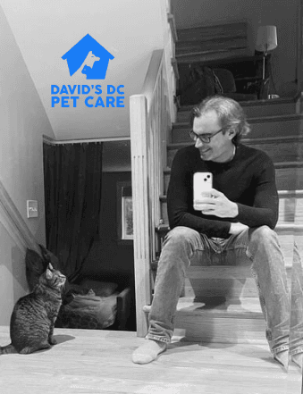 David's DC Pet Care