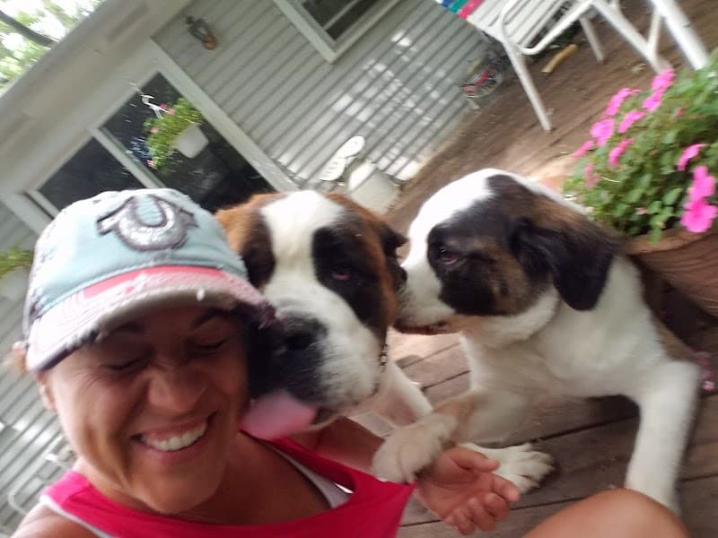 Pooches 'N' Whatnot photo 2