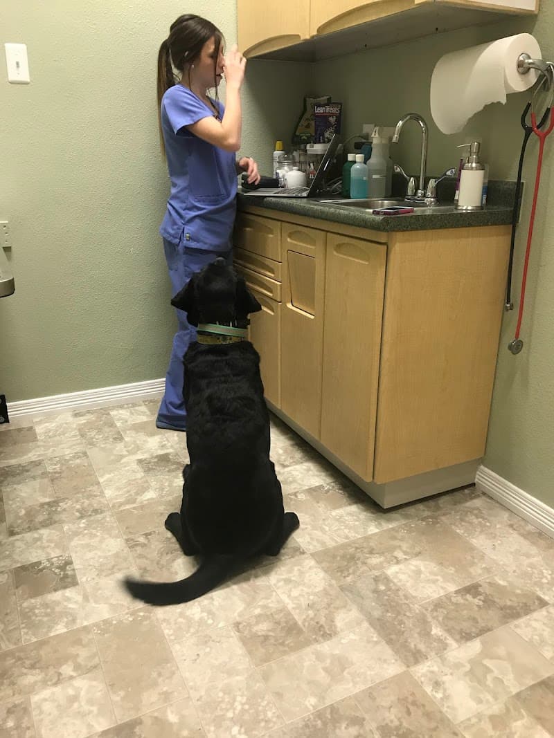 Denver Animal Hospital photo 2