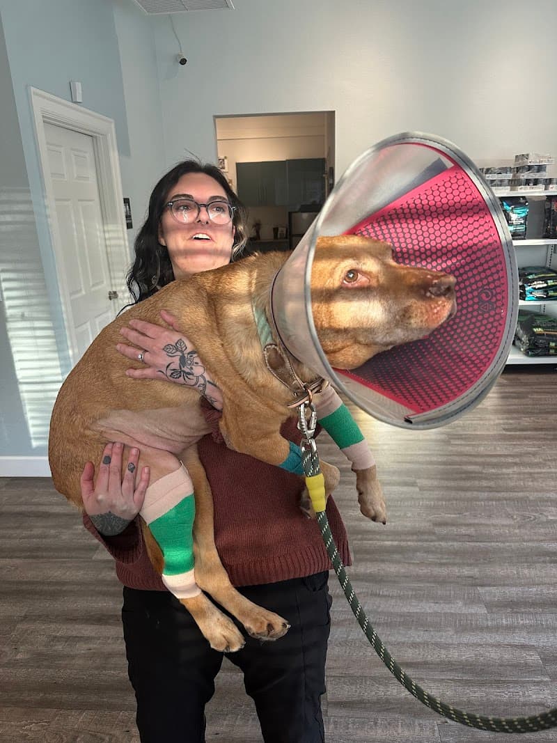 Denver Animal Hospital photo 5