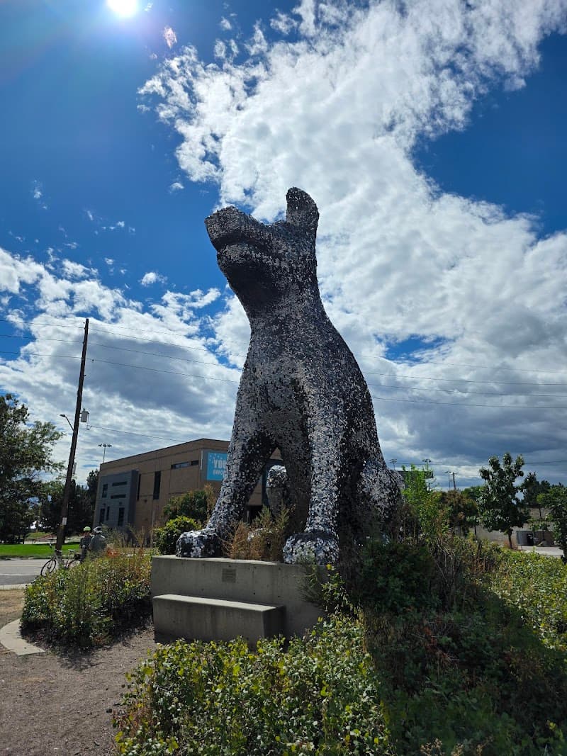 Denver Animal Shelter photo 4