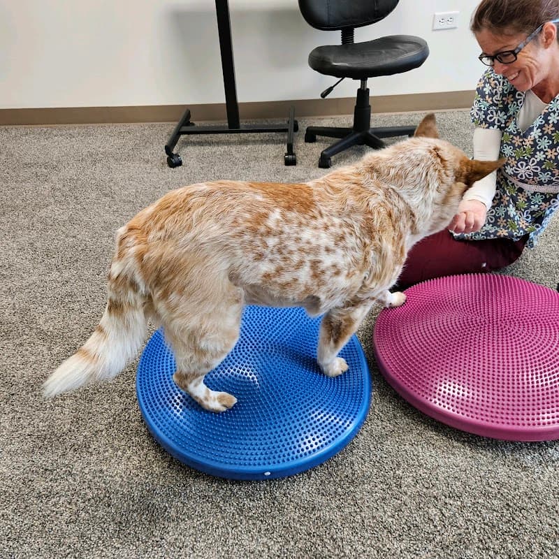 Denver Dog Rehab & Wellness photo 4