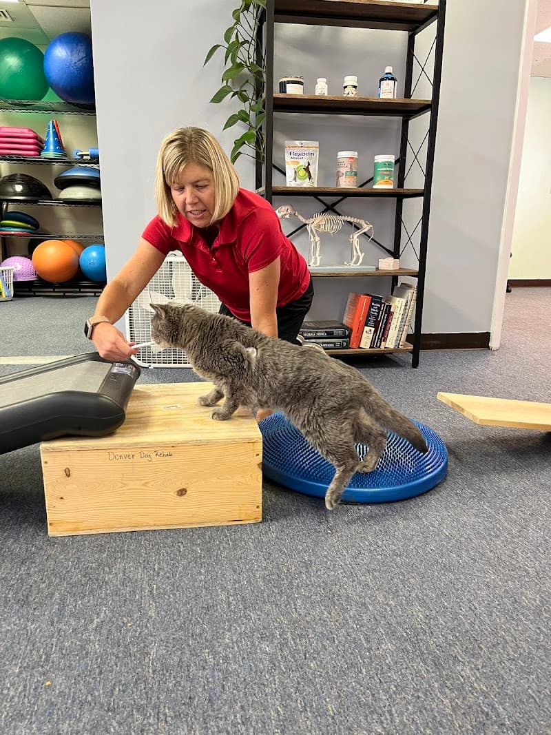 Denver Dog Rehab & Wellness photo 5