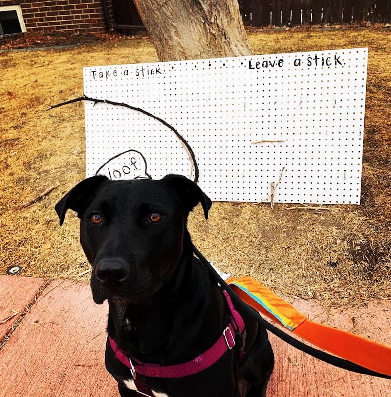 Denver Dog Walkers photo 2
