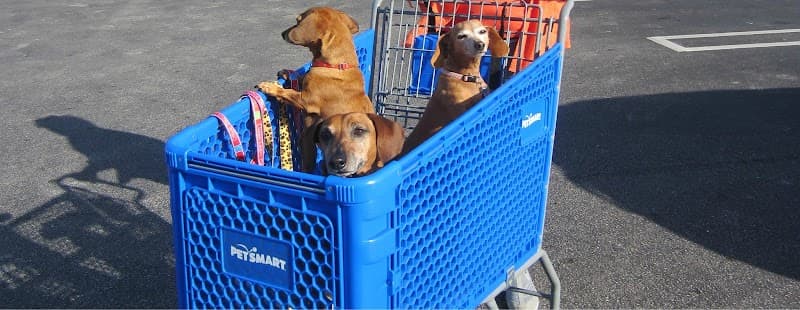 Denver Pet Sitters Inc.