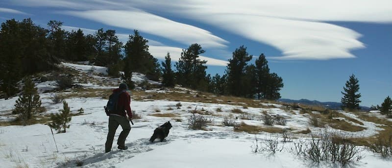 Denver Pet Sitters Inc. photo 3