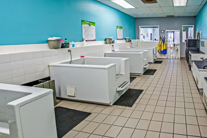 Dirty Paws Pet Wash