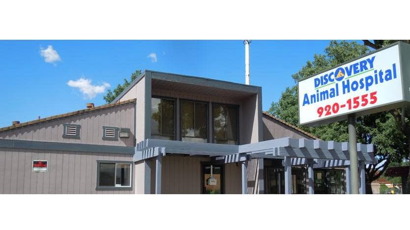 Discovery Animal Hospital