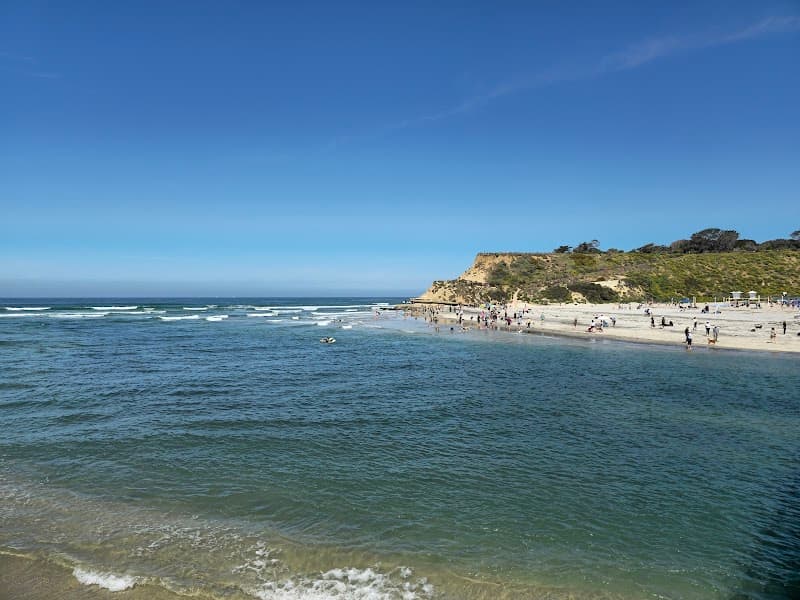 Dog Beach