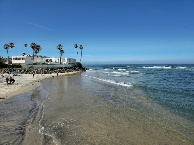 Dog Beach photo 2