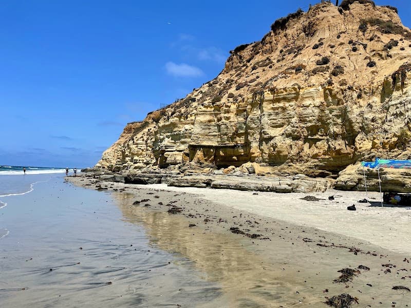 Dog Beach photo 3