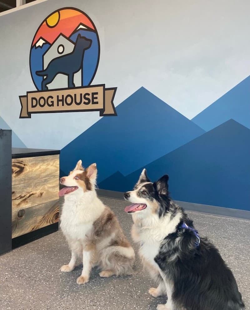 Dog House Denver photo 4