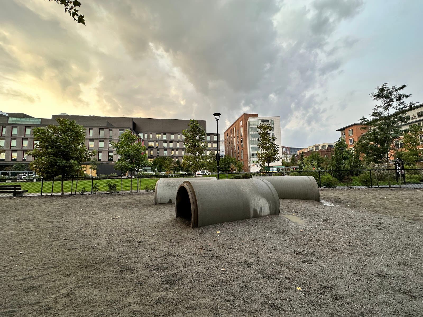 Dog Park at Toomey Park