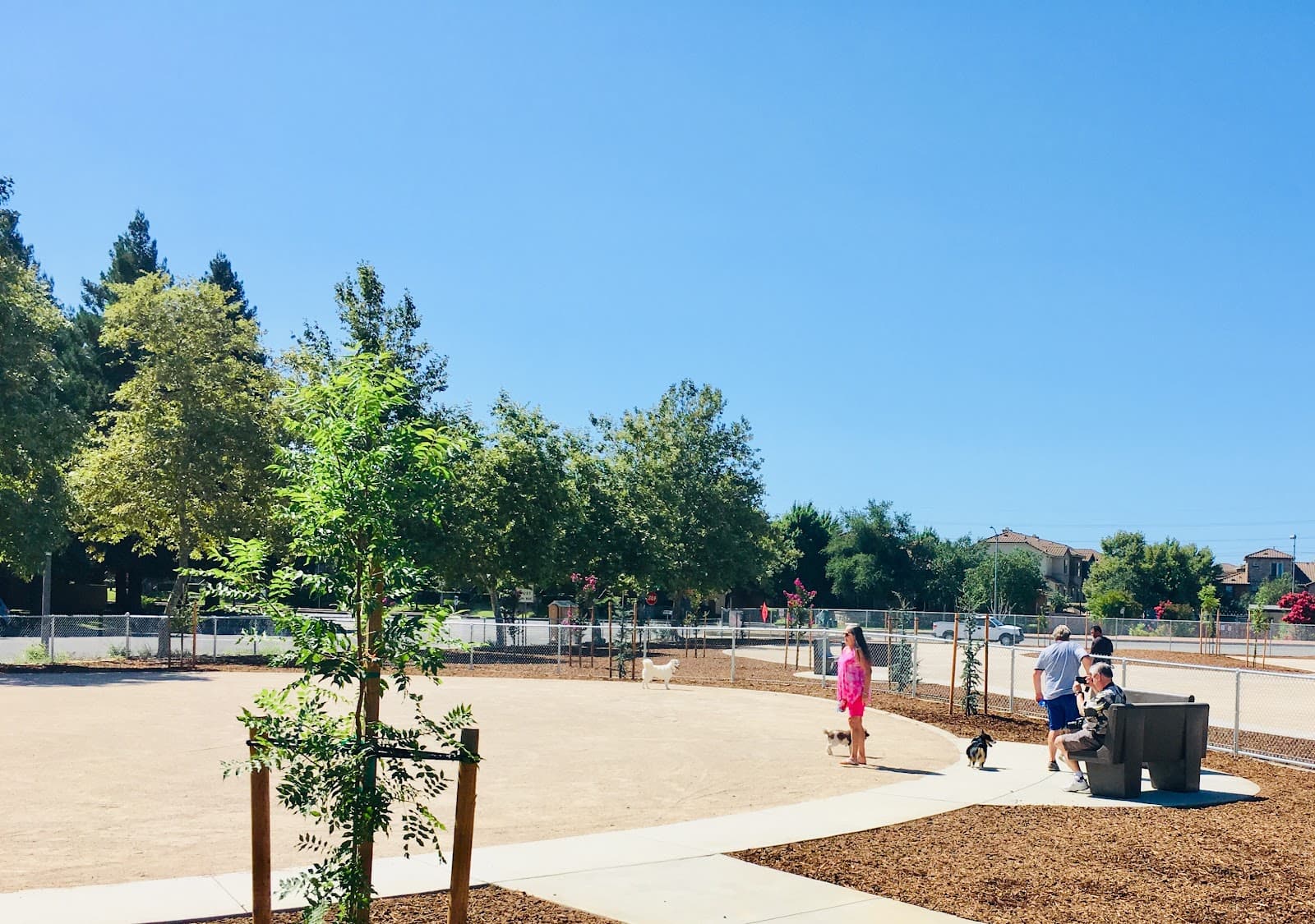 Dog Park | Barandas Park