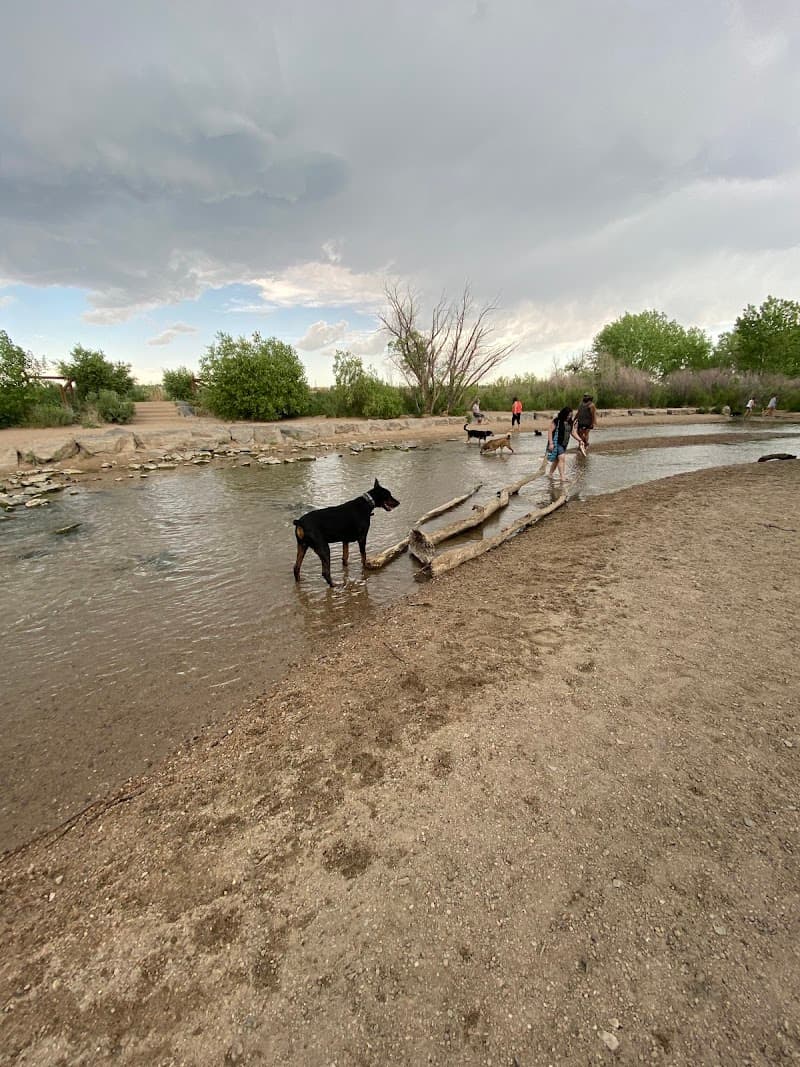 Dog Park Beach and Cherry Creek Access