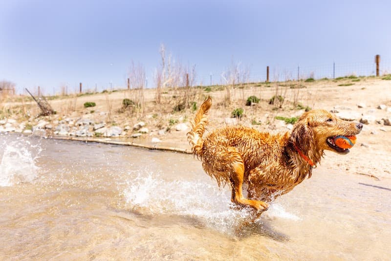 Dog Park Beach and Cherry Creek Access photo 4