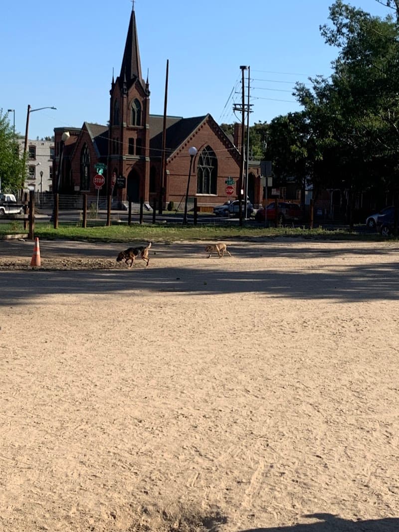 Dog Park photo 4