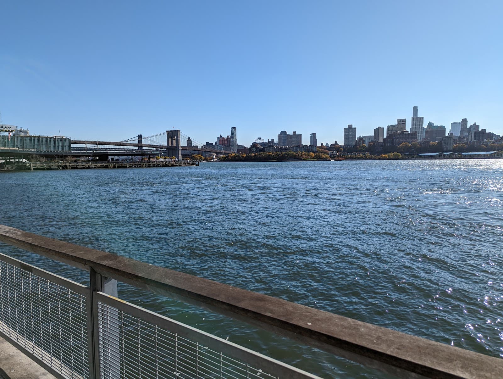 Dog Park East River Esplanade South