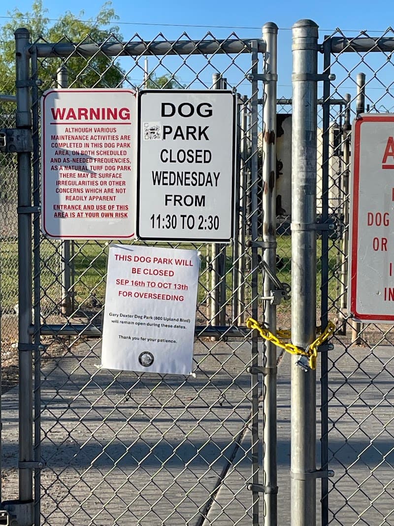 Dog park photo 2
