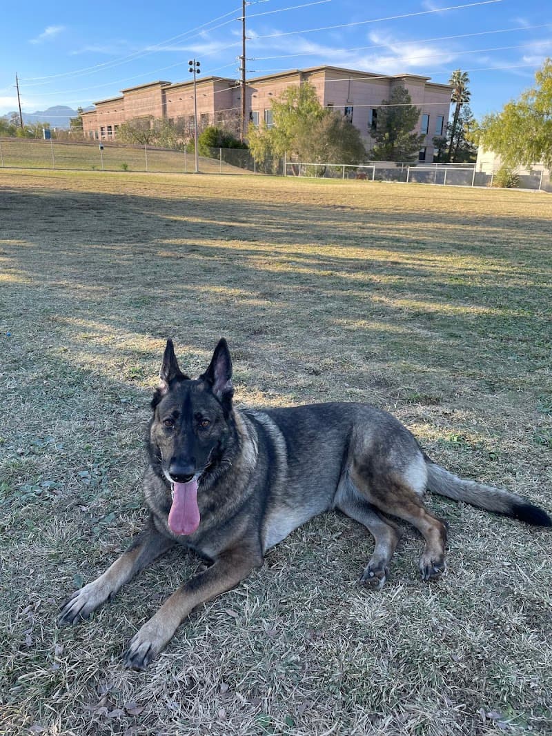 Dog park photo 3