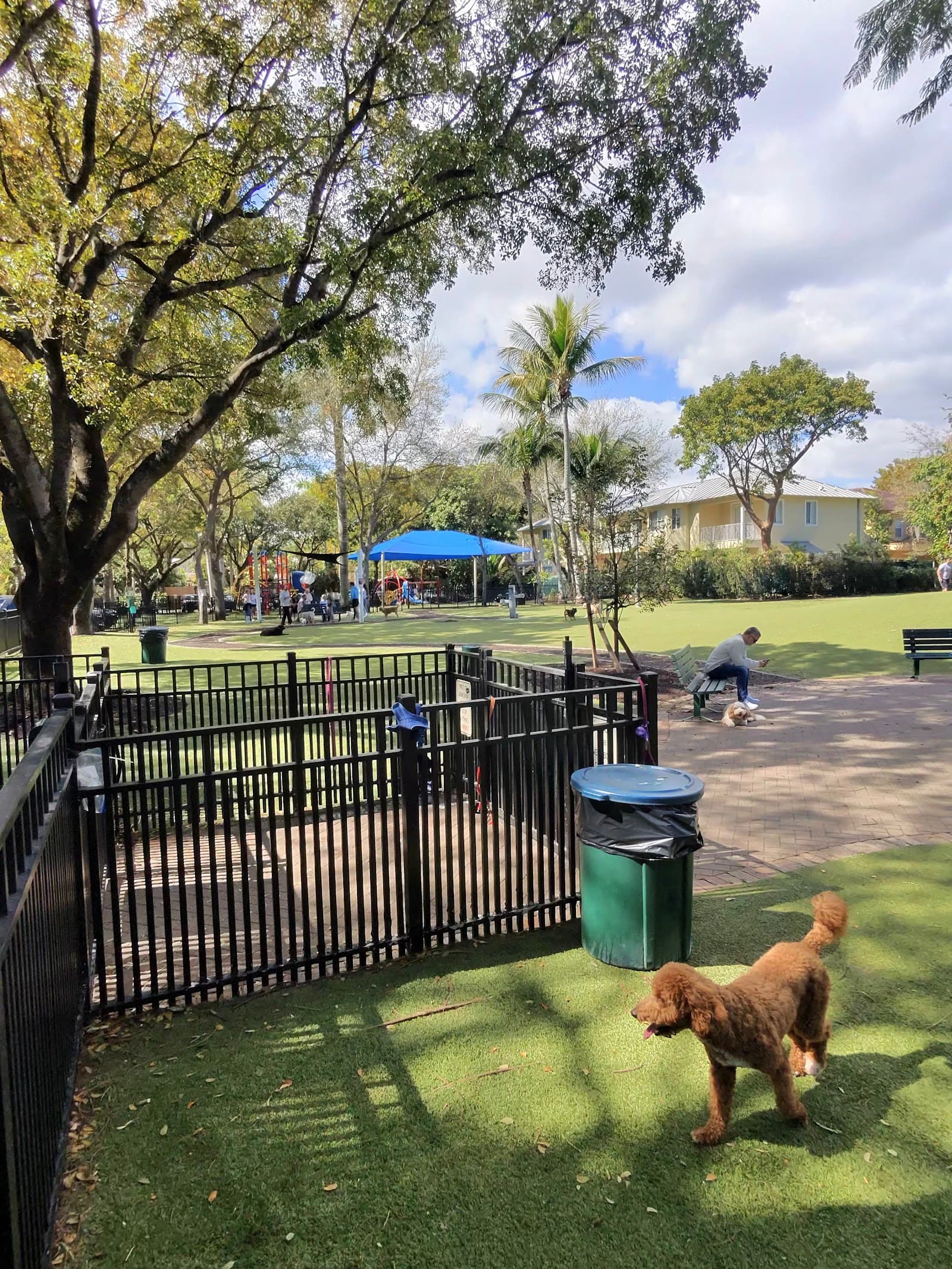 Dog Park