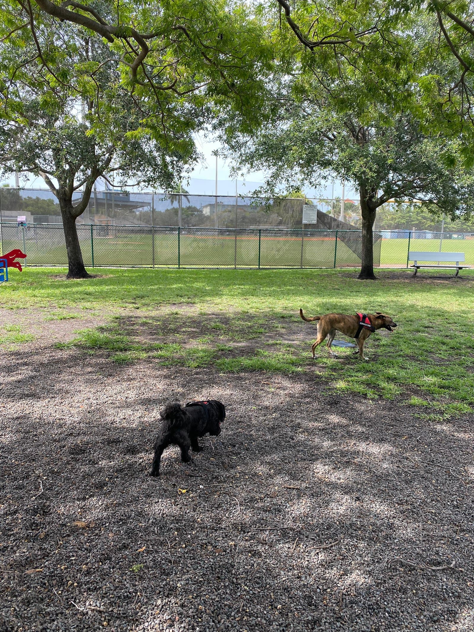 Dog park