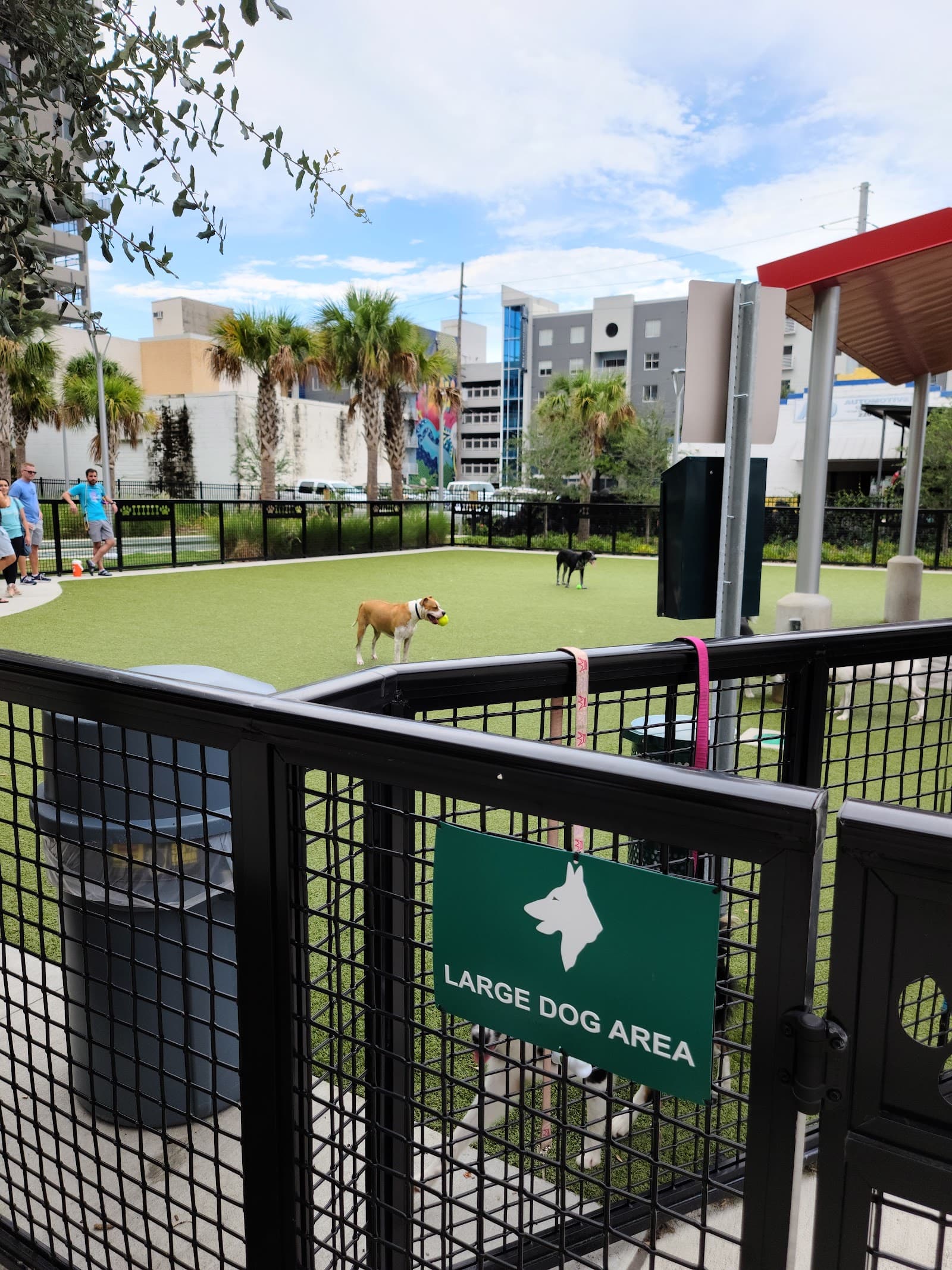 Dog Parks at Madison Street Park