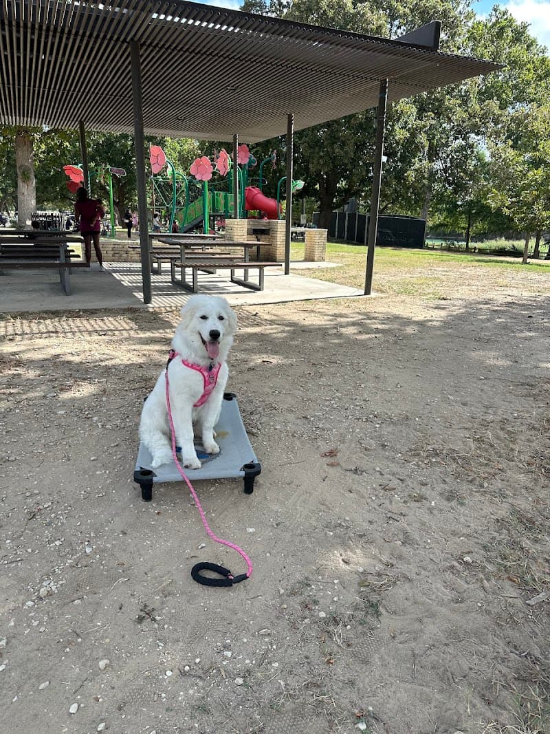 Dog Training Elite Hill Country photo 3