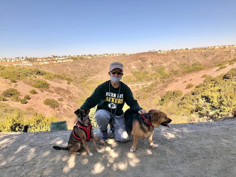 Dog Walks 'N More, LLC photo 2