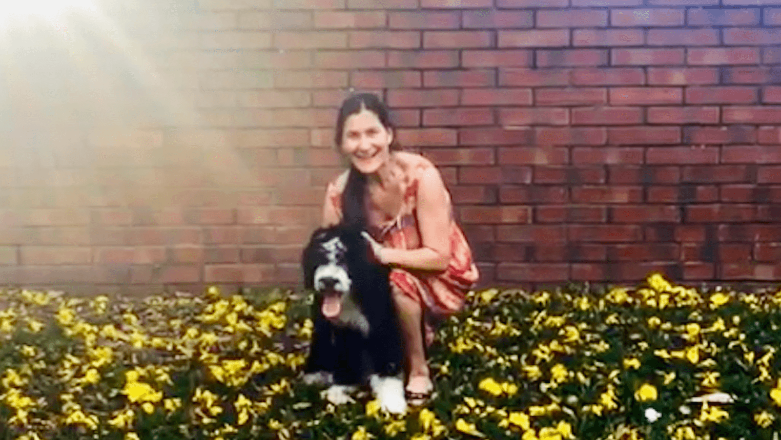 DogdaysFurEver Pet Care, Boarding & Walking