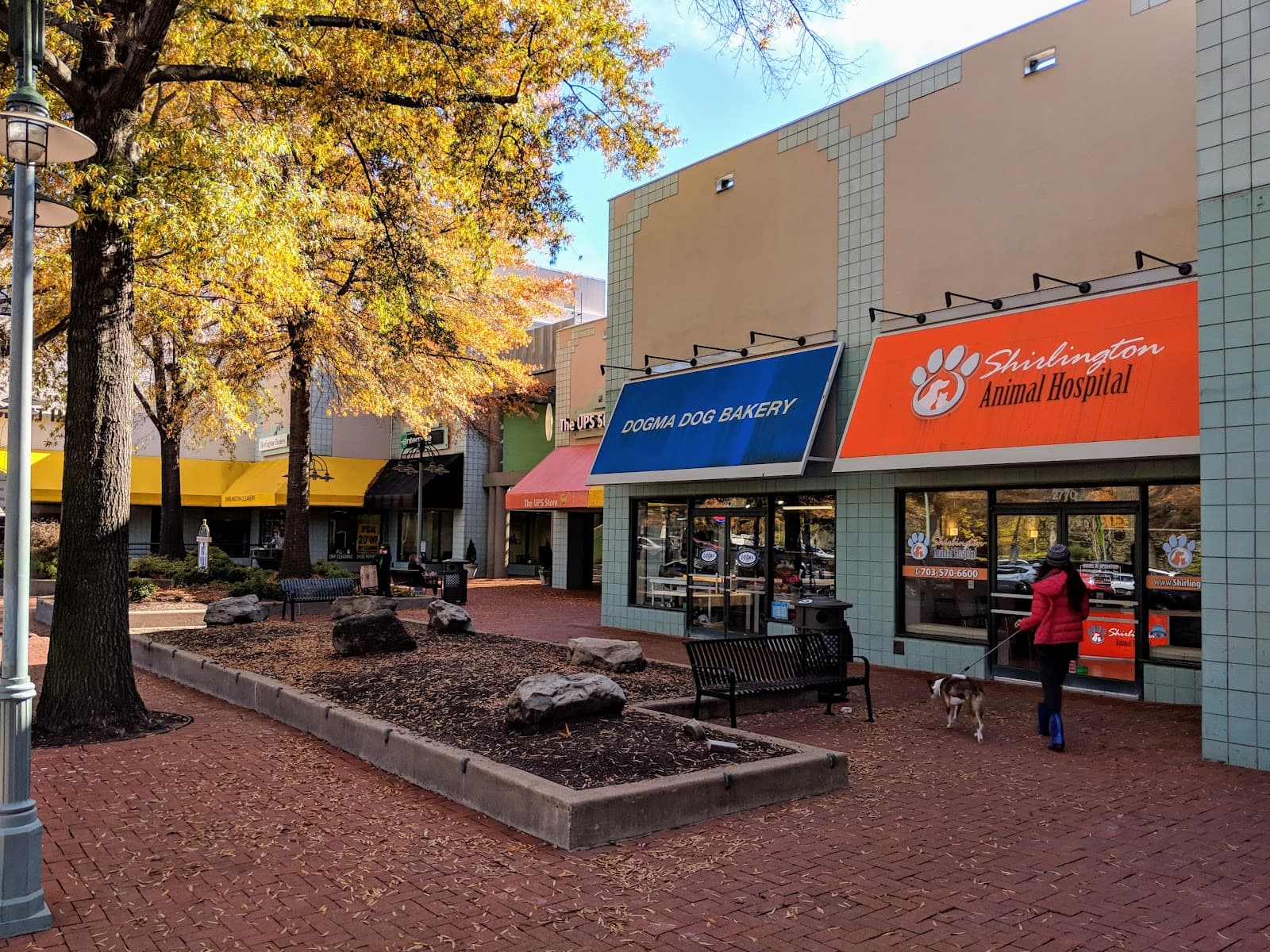 Dogma Bakery - Village at Shirlington