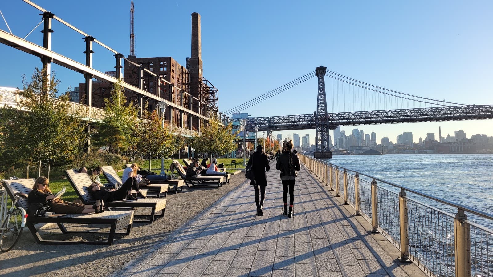 Domino Park Dog Run
