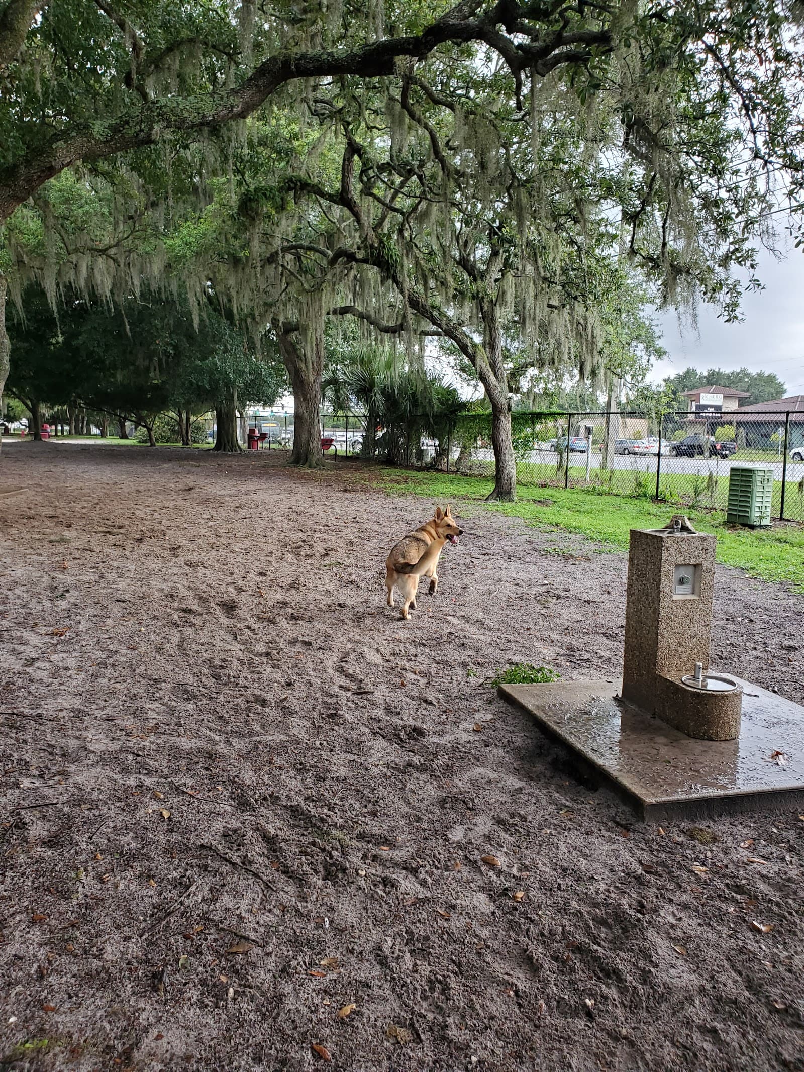 Downey Dog Park