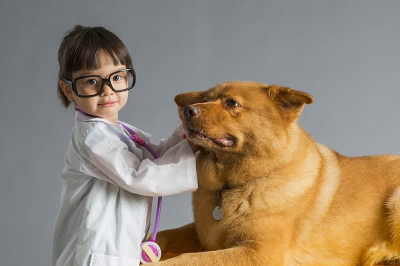Downtown Animal Care Center photo 2