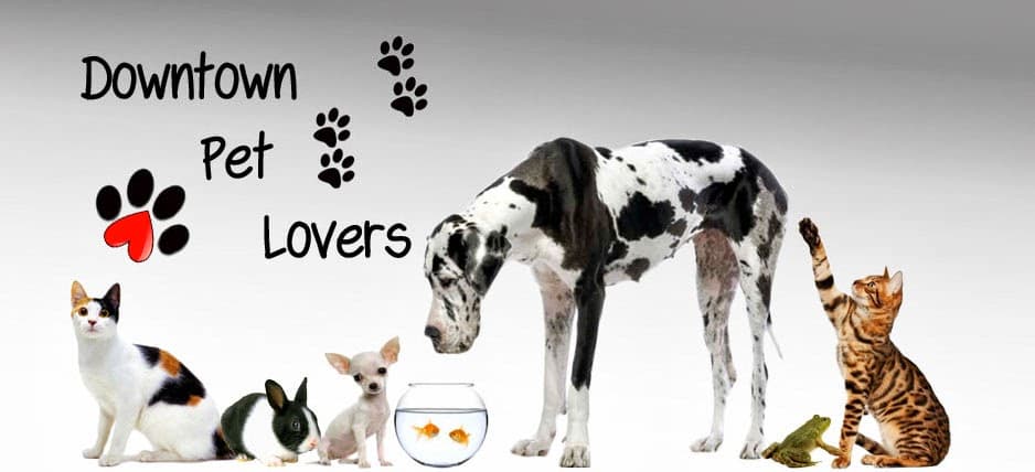Downtown Pet Lovers
