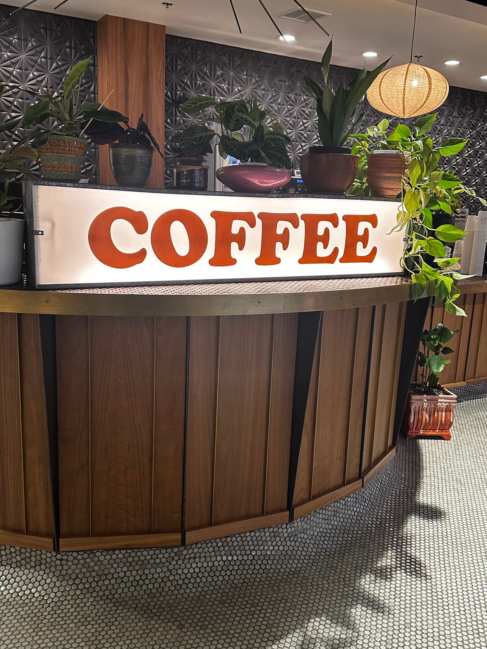 Drip Drop Coffee