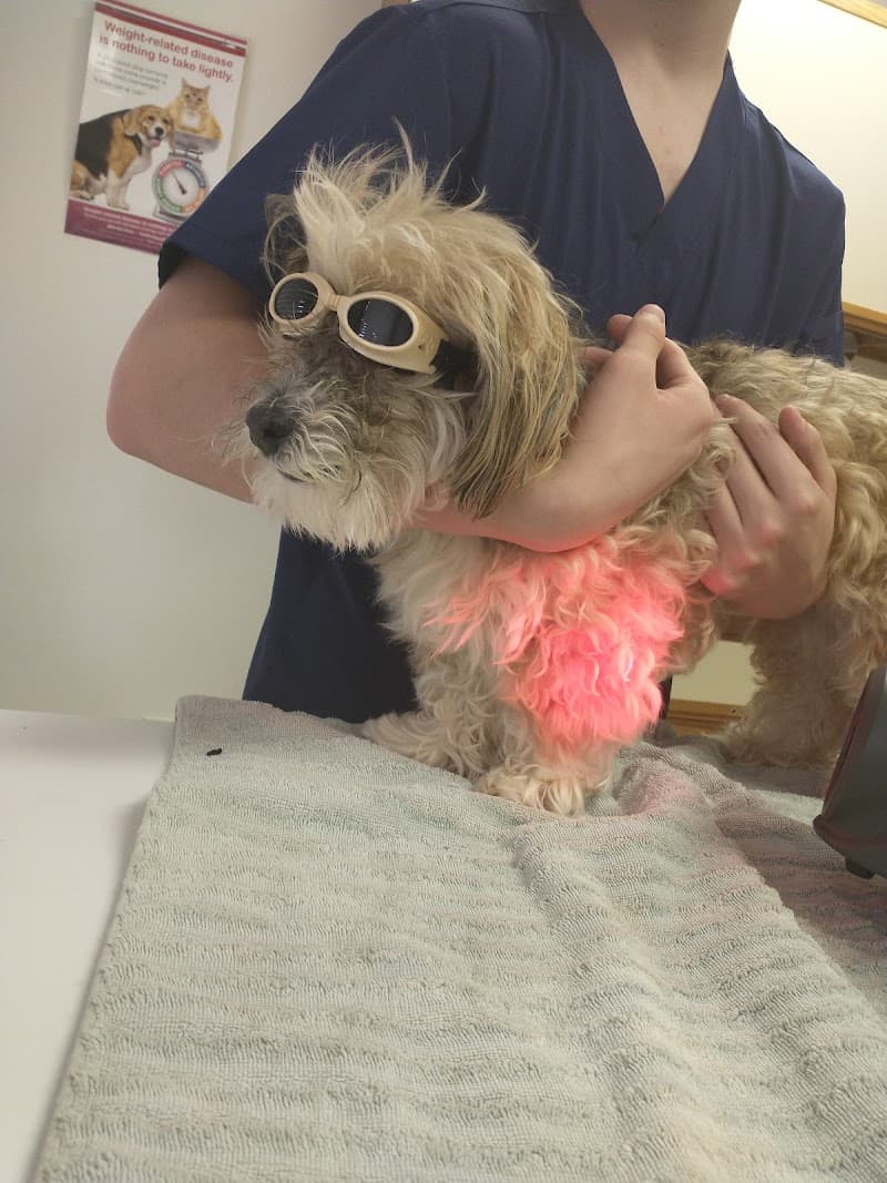 Happy Pet Veterinary Hospital photo 3