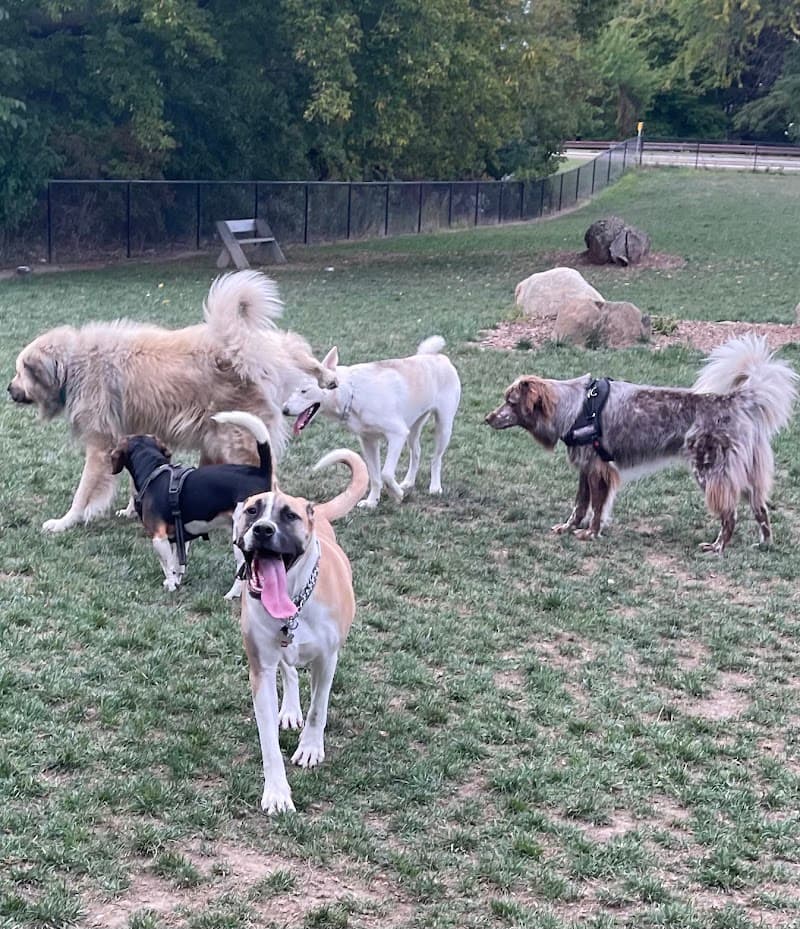 Bay View Dog Park