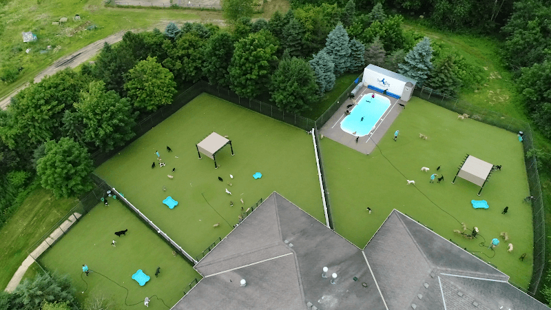 Top Dog Country Club