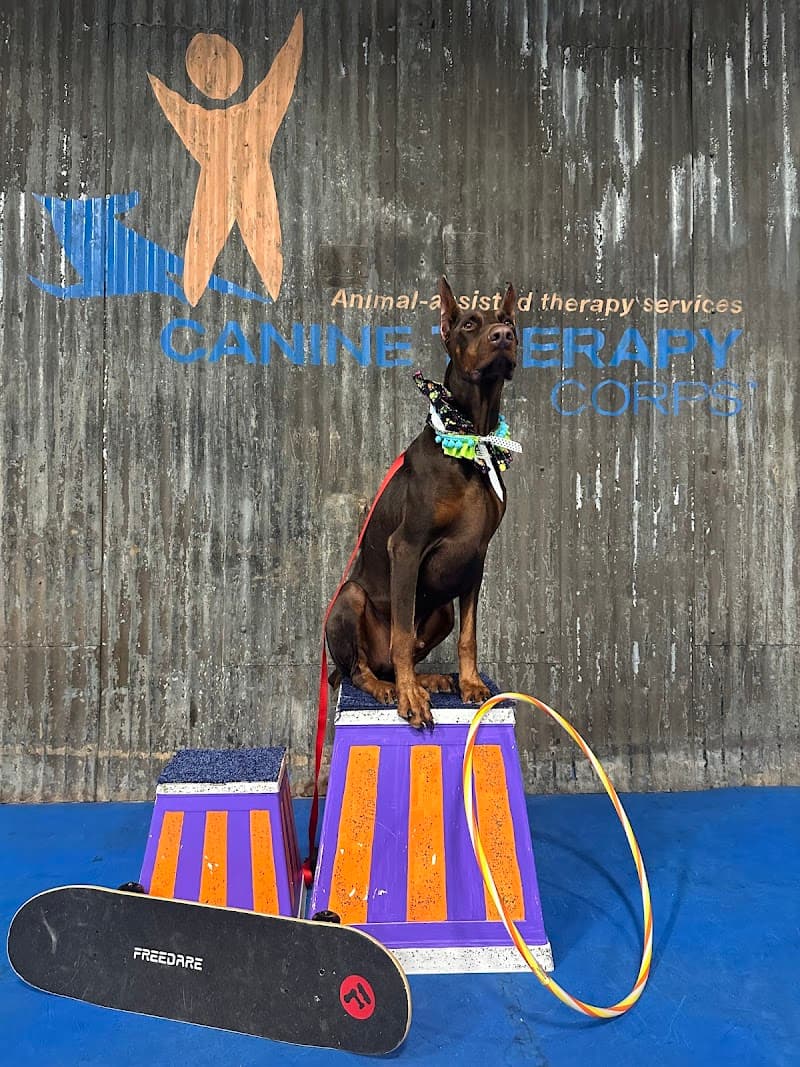 Capricorn Dog Training photo 2