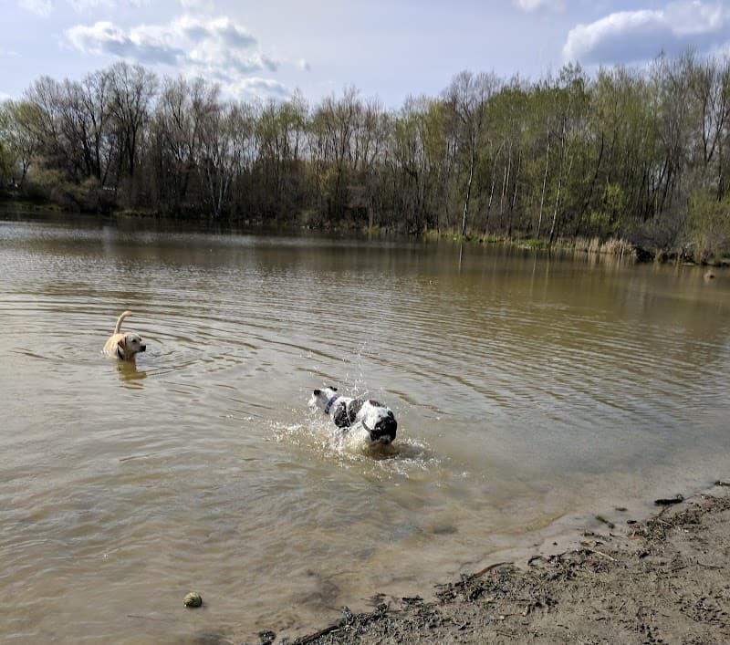 Alimagnet Dog Park