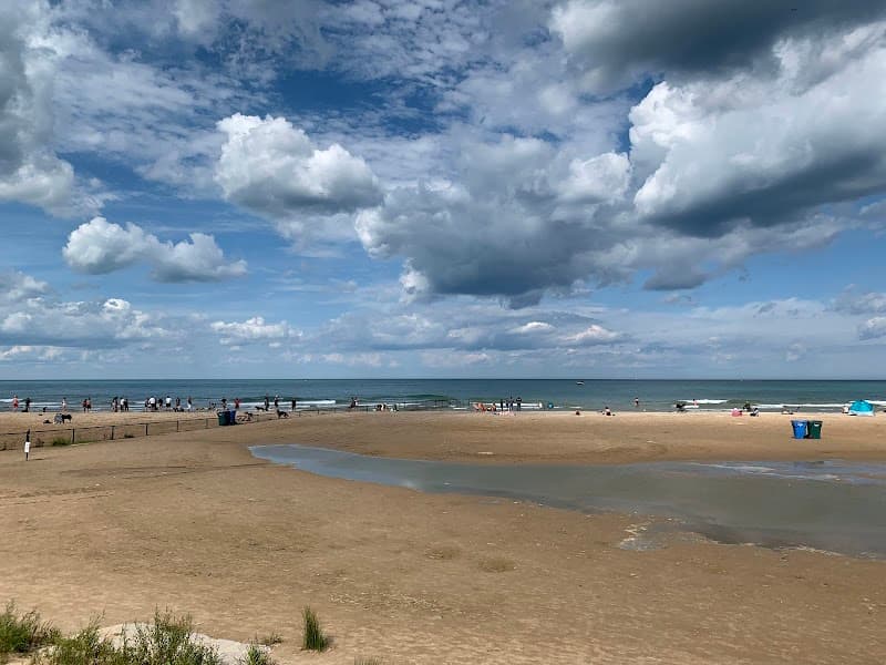 Montrose Dog Beach