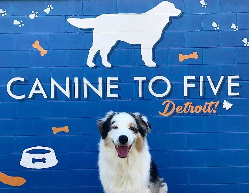 Canine To Five-Midtown Detroit