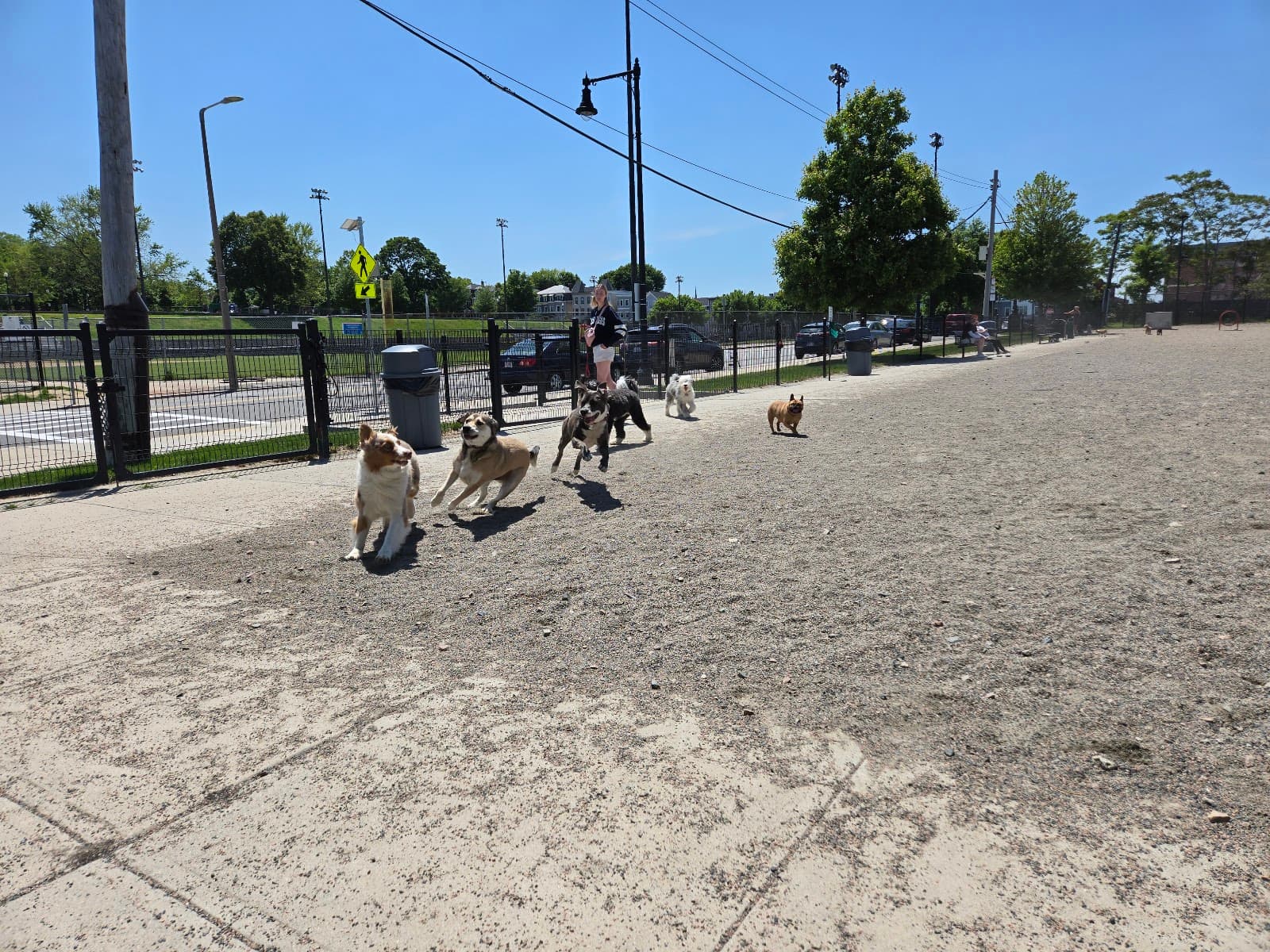 East 1st Dog Park