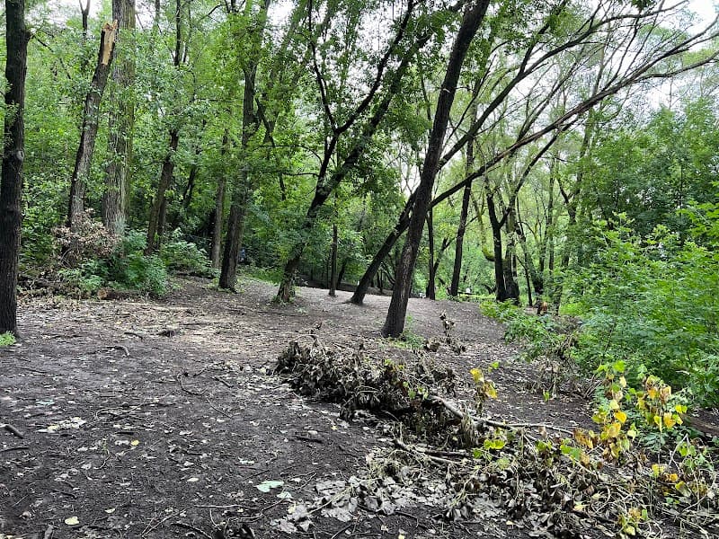 Woodview Off Leash Dog Area