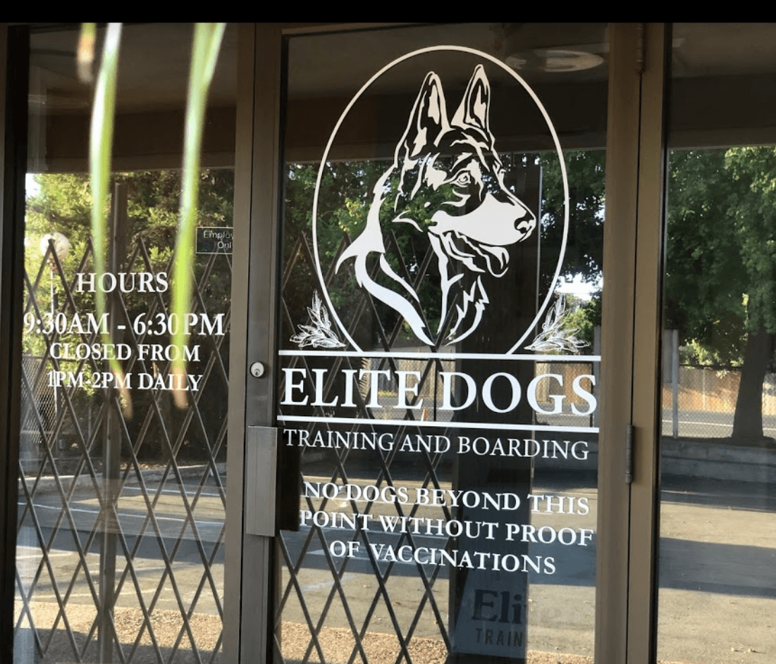 Elite Dogs Training & Boarding