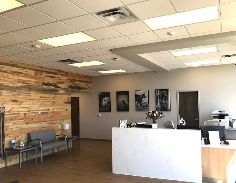 Emergency Pet Clinic of Longmont photo 5