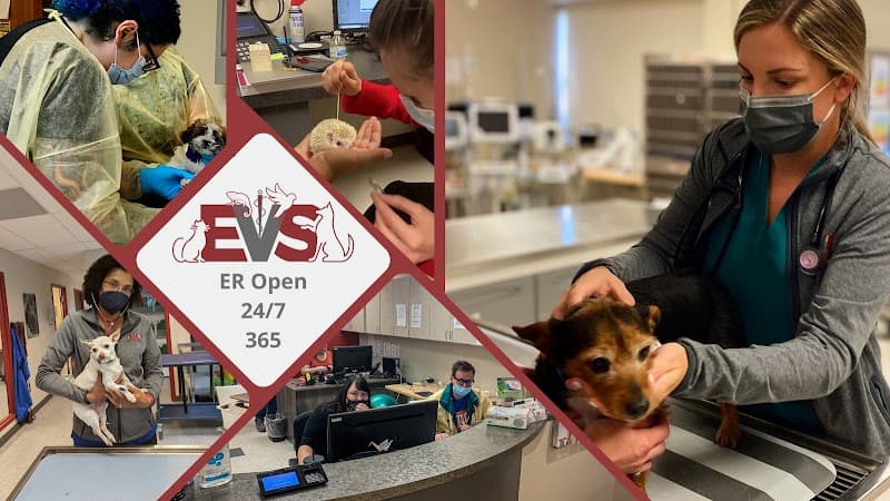 Evolution Veterinary Specialty and Emergency Hospital photo 2