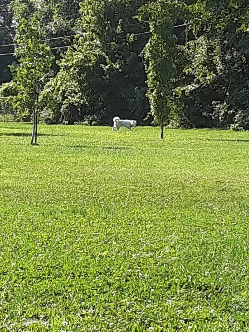 Mohr Park