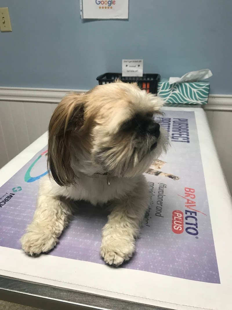 Murray Ridge Animal Clinic photo 3